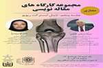 پنجمین جلسه از  کلاس های مجازی مجموعه کارگاه‌های مقاله‌نویسی با محوریت «*تایتل ابسترکت ریویو*» برگزار خواهد شد.